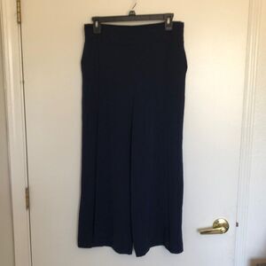 Zara Basic Pleated Wide Leg Pants Size S Gently used Navy